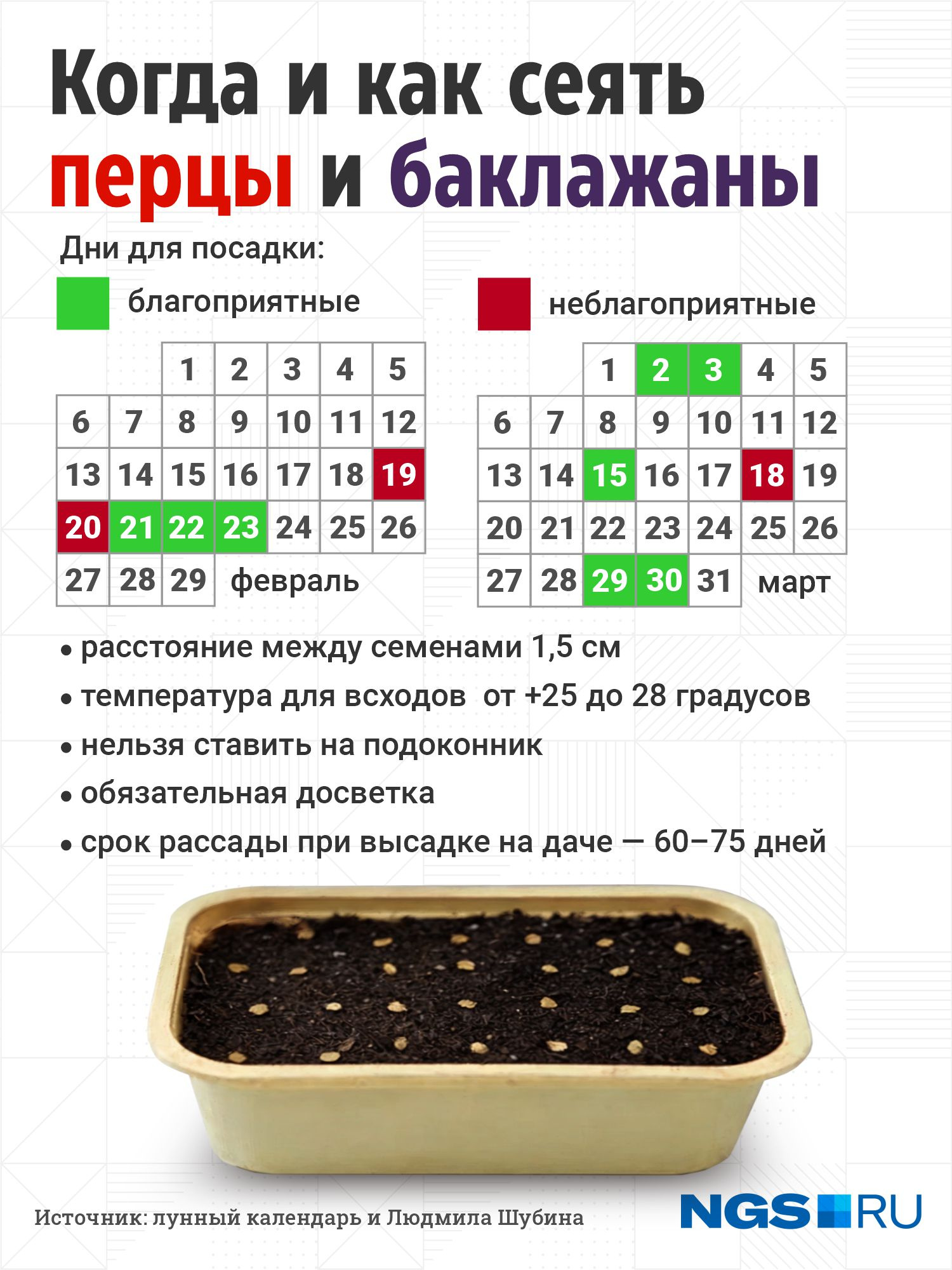 Когда сажать перец на рассаду