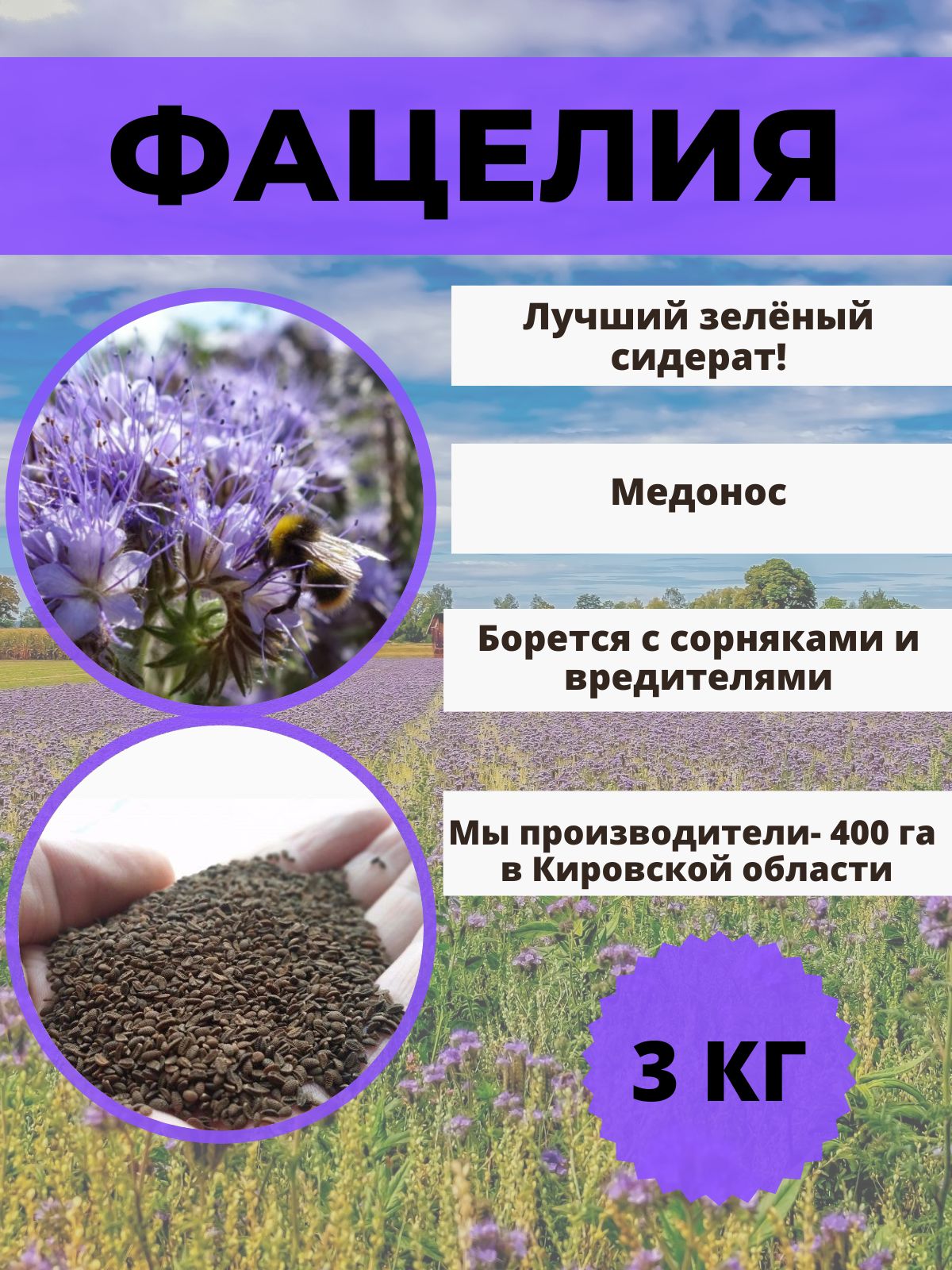 Значение и типы