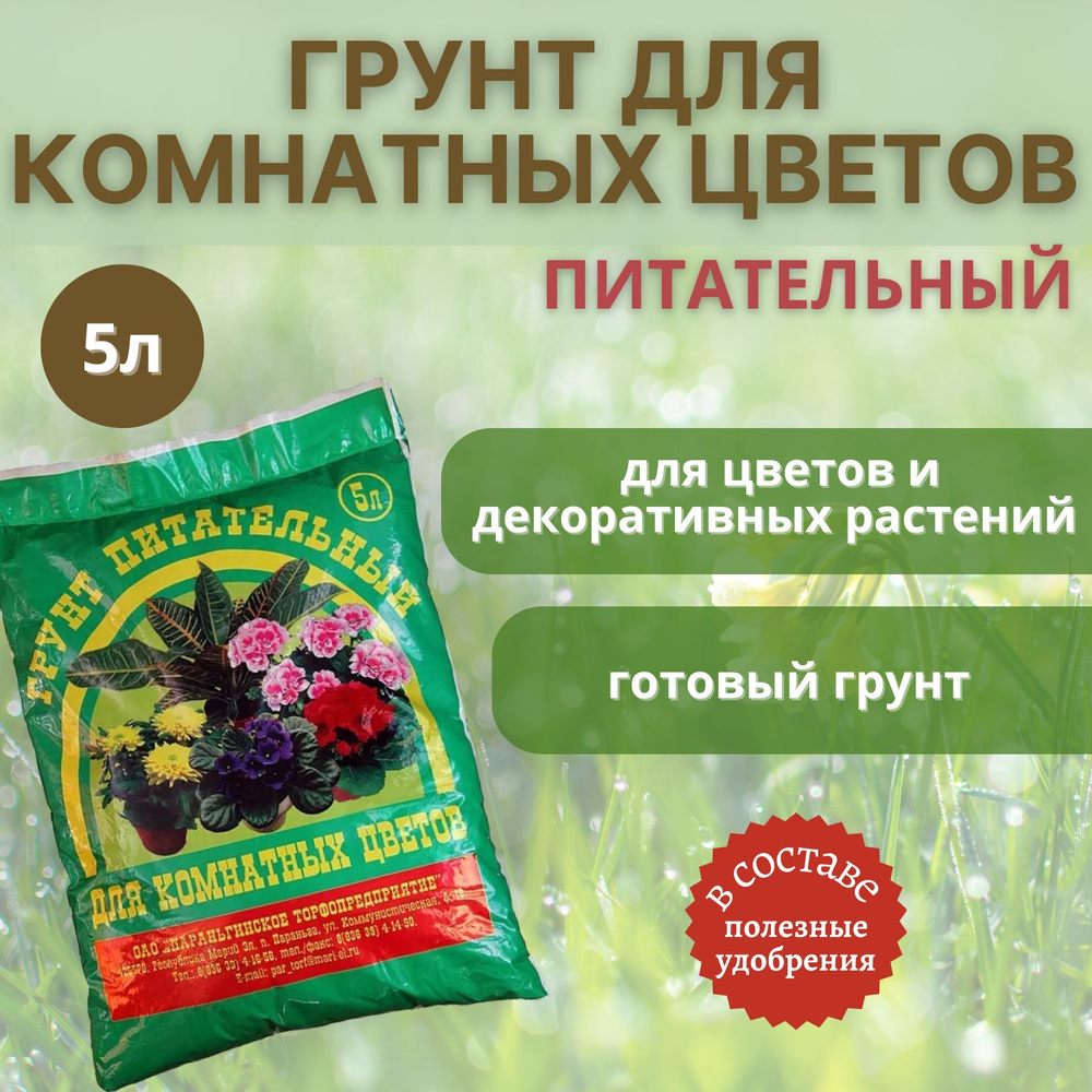 Важность выбора правильной почвы
