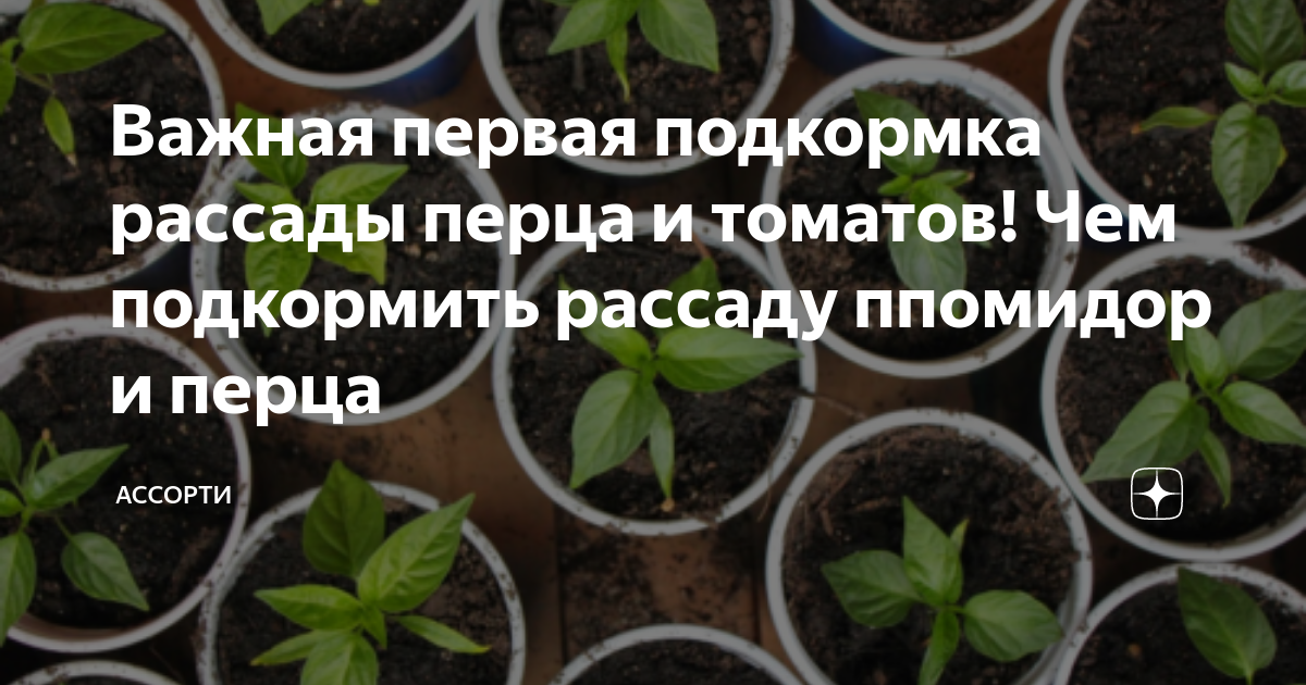 Подкормка перцев и не只