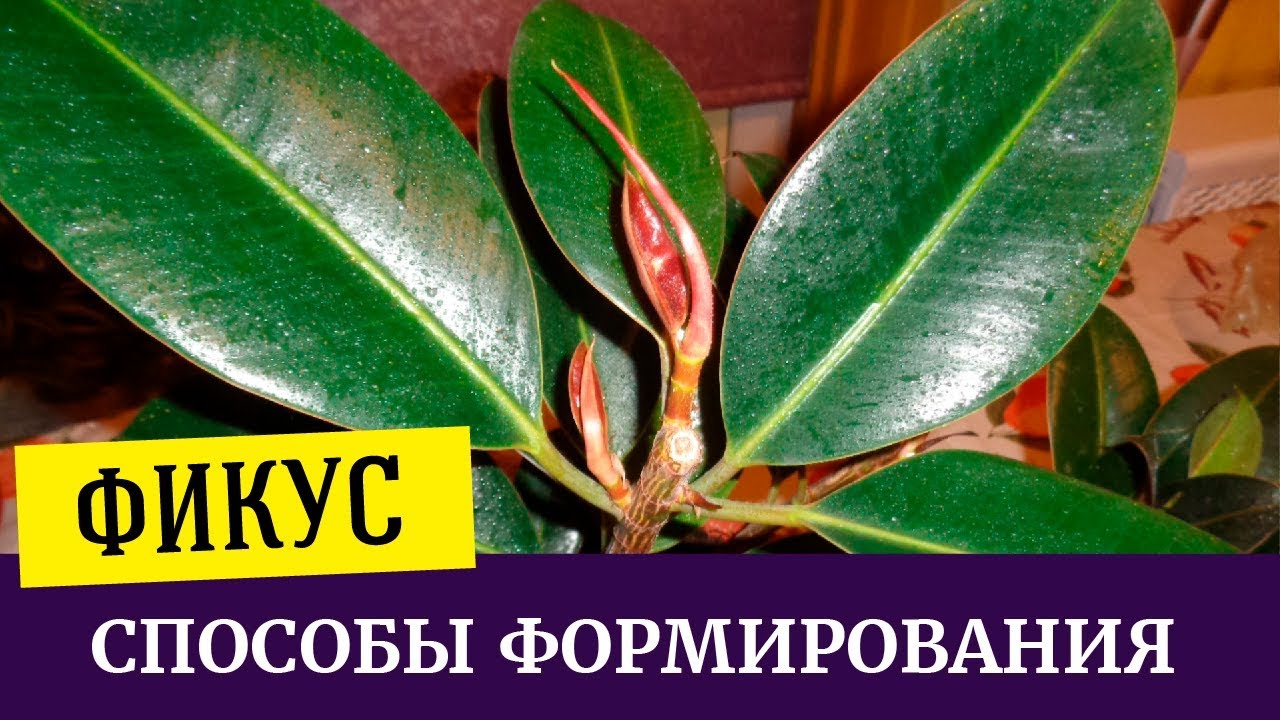 Особенности влажности