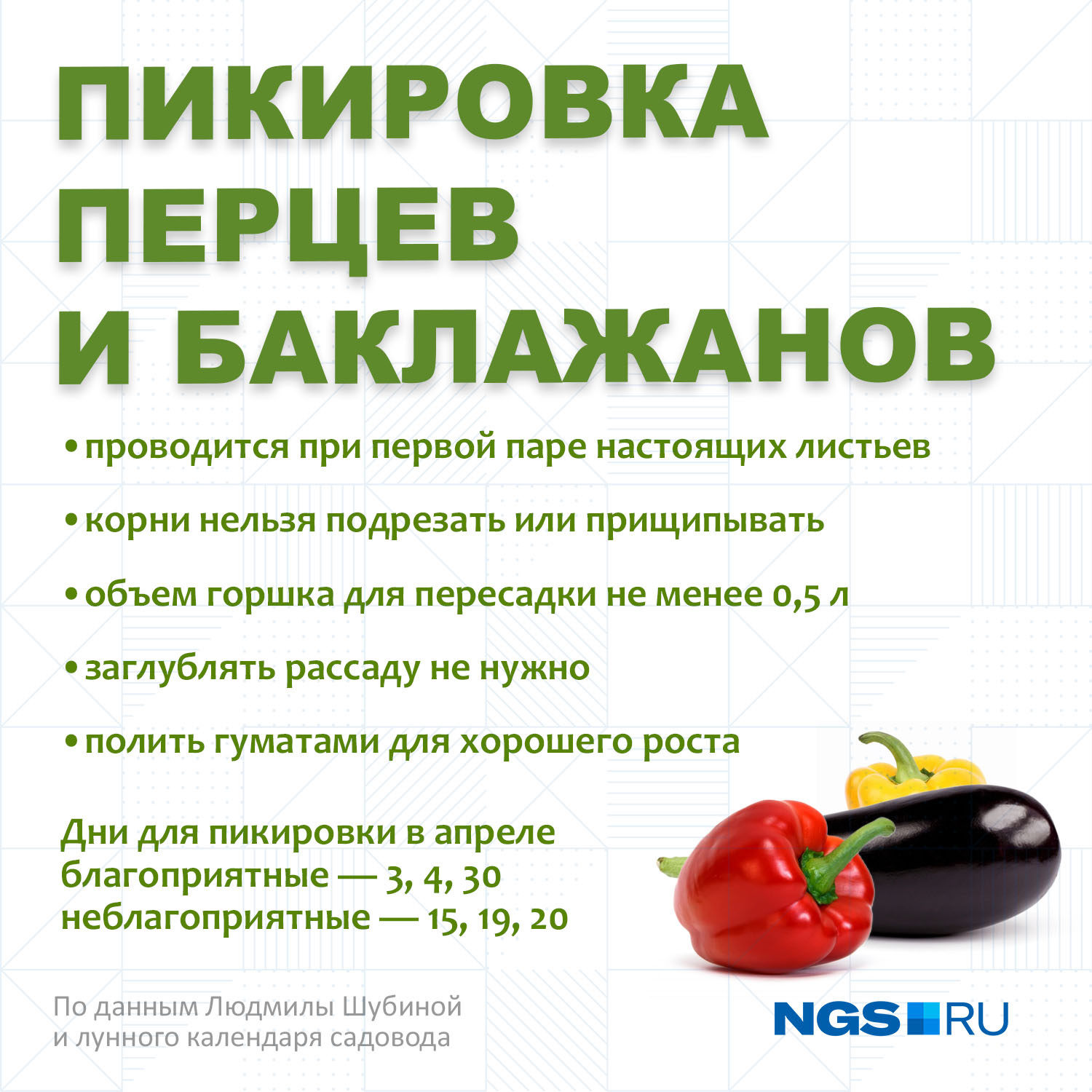 Особенности пикировки баклажан в марте 2021 года