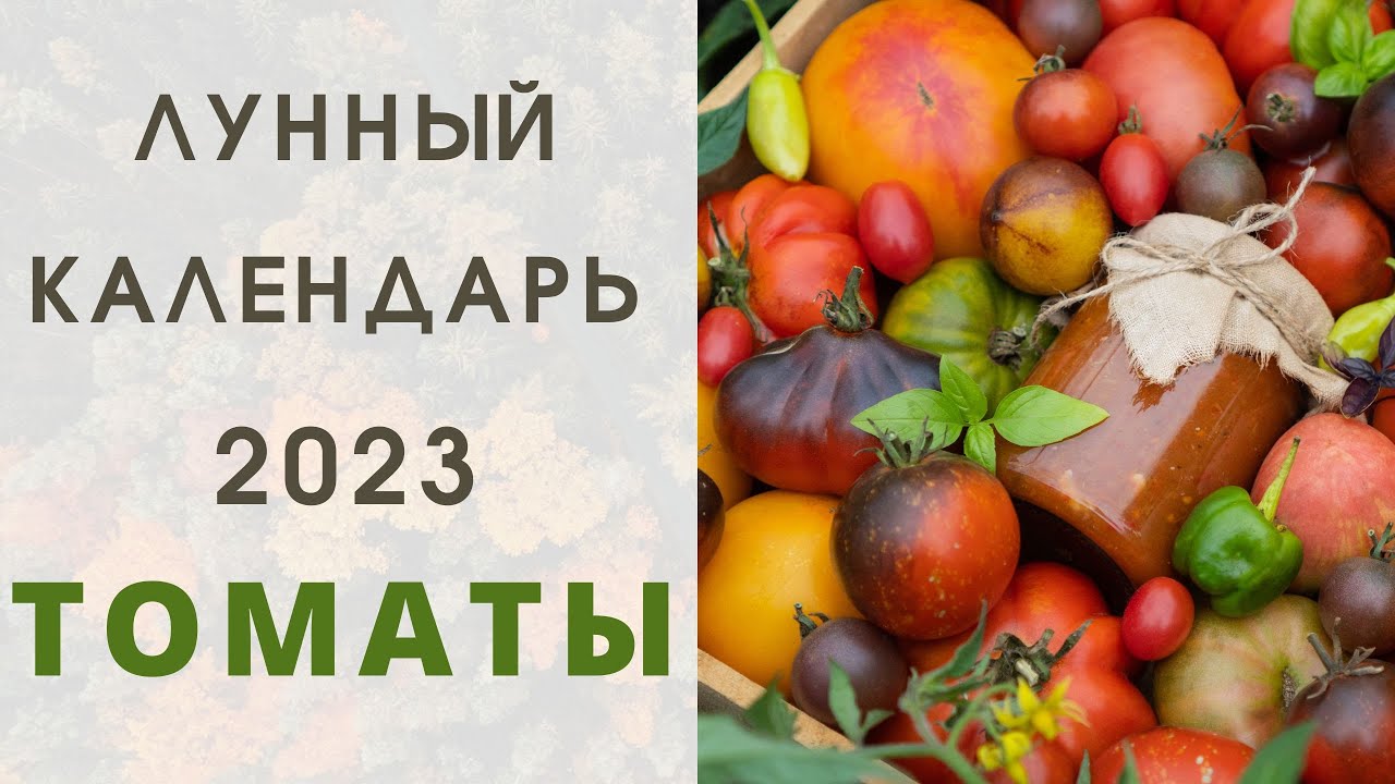 Определение оптимального времени для посева