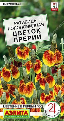 Описание видов ратибида