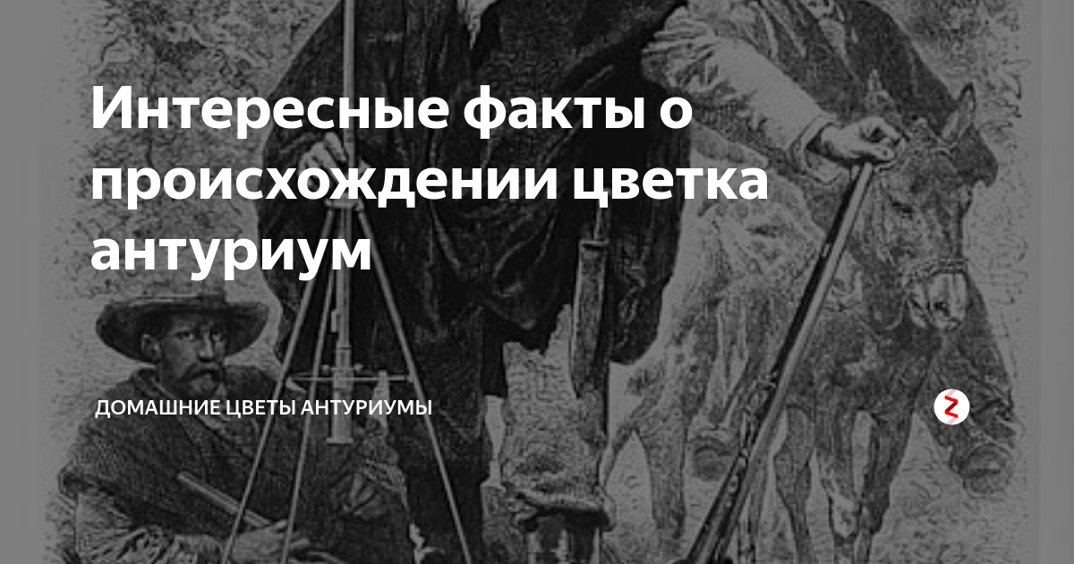 Особенности цветения
