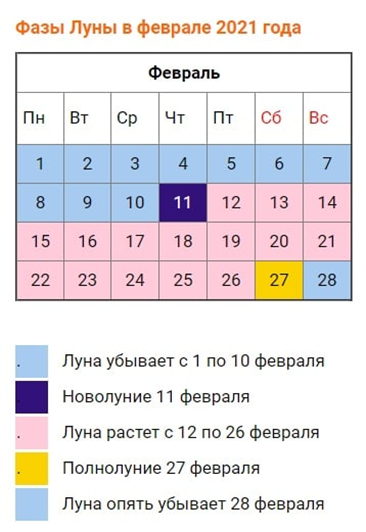 Подбор цветов на рассаду в феврале 2021 года