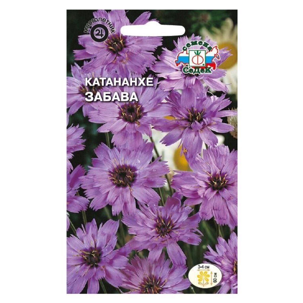 Разновидности и модели