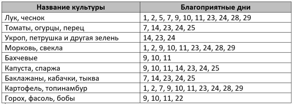 Особенности посева укропа по лунному календарю