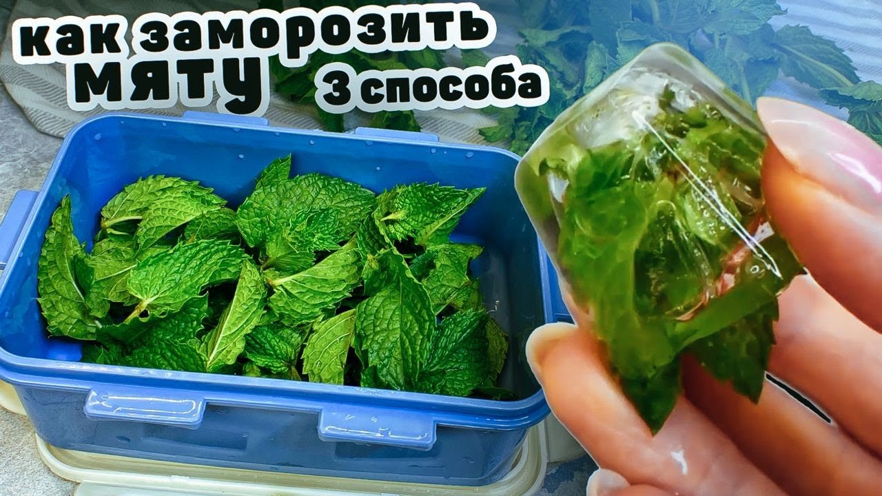 Как использовать замороженную мяту в кулинарии
