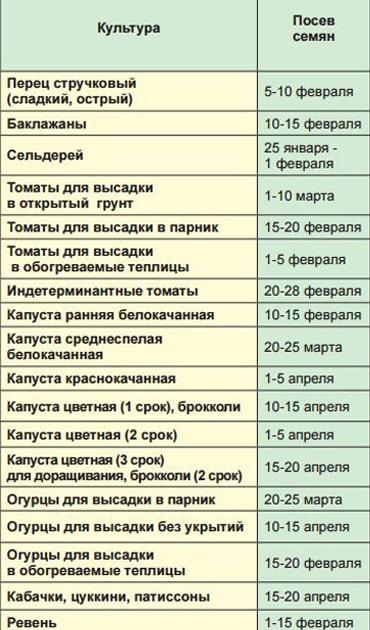 Определение оптимального времени для посева помидоров