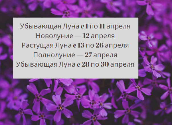 Рекомендации для успешного выращивания свеклы в апреле 2021 года