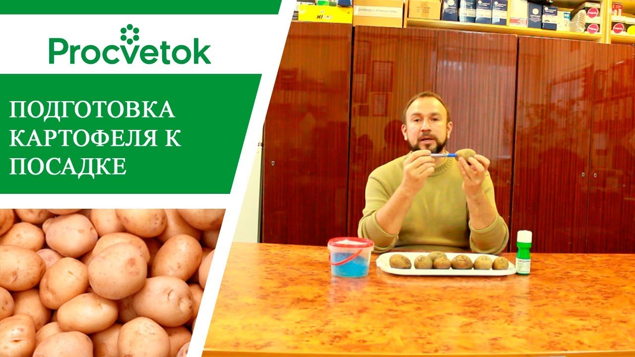 Влияние погоды на созревание