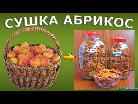 Солнечная сушка абрикосов на открытом воздухе