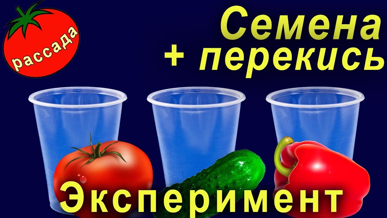 Повышение урожайности и качества плодов