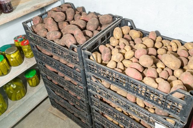 Правила выбора и подготовки