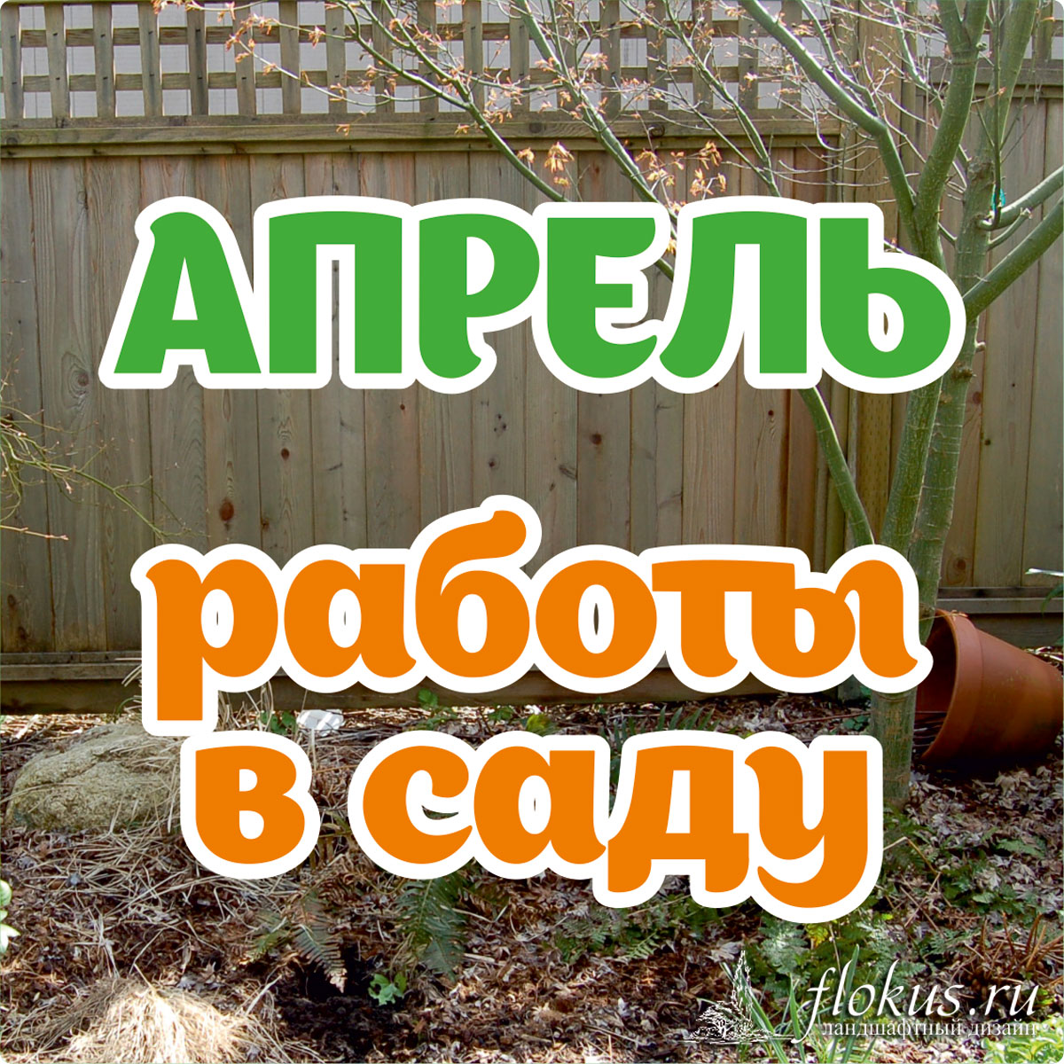 Подготовка сада и огорода ко второй половине апреля