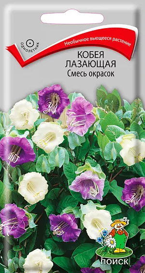 История возникновения Кобеи