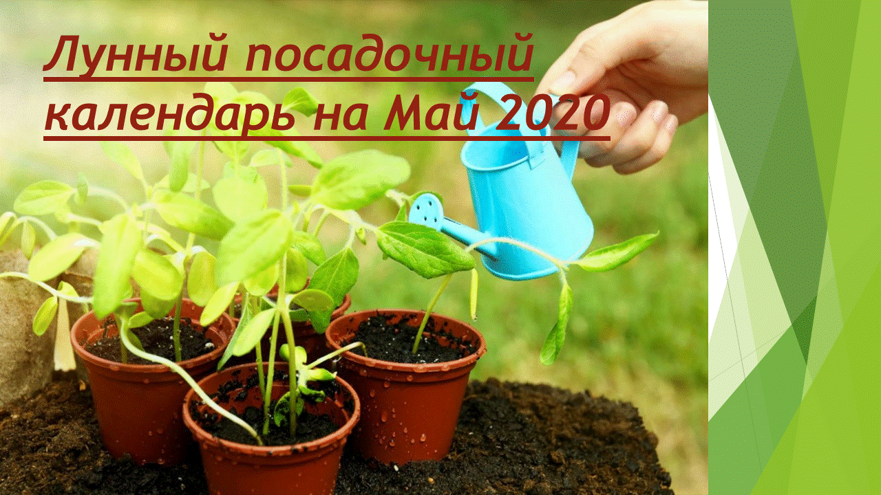 Внимание: проектирование и высадка