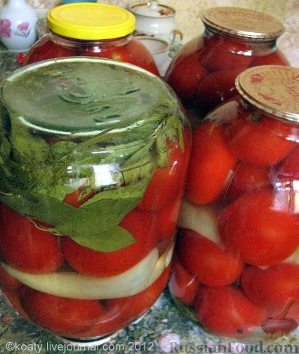 Засолка помидоров на зиму: простые рецепты в банках