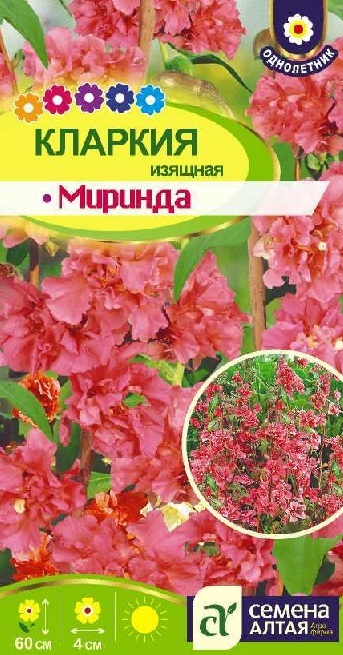 История и развитие