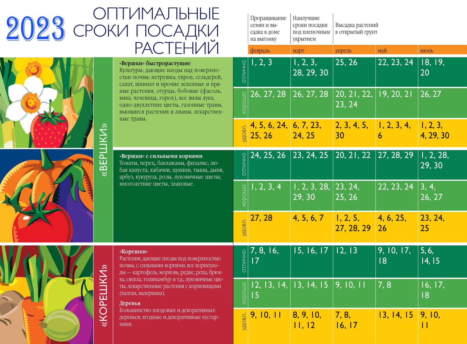 Как выбрать оптимальный день для посадки петрушки