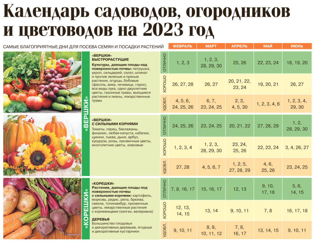 Определение времени для посадки томатов