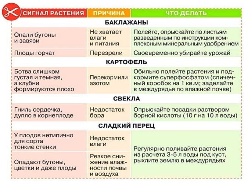 Как применять борную кислоту для предупреждения клубничного ожога