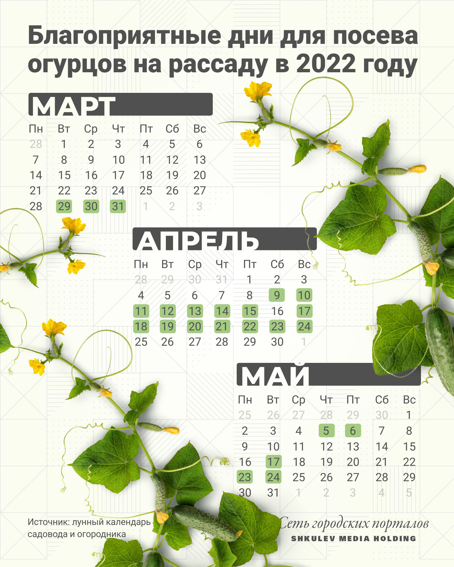 Подготовка и контроль условий для посадки рассады огурцов в марте