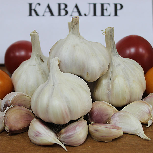 Перегной