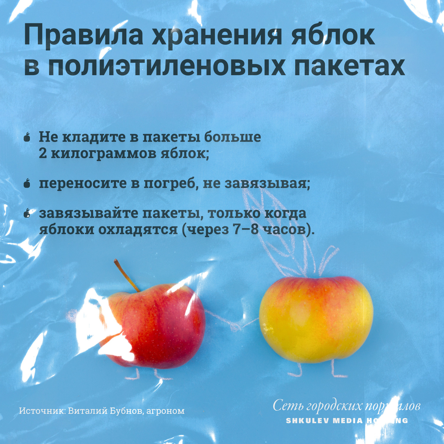 Какой сорт яблок лучше всего хранить на зиму
