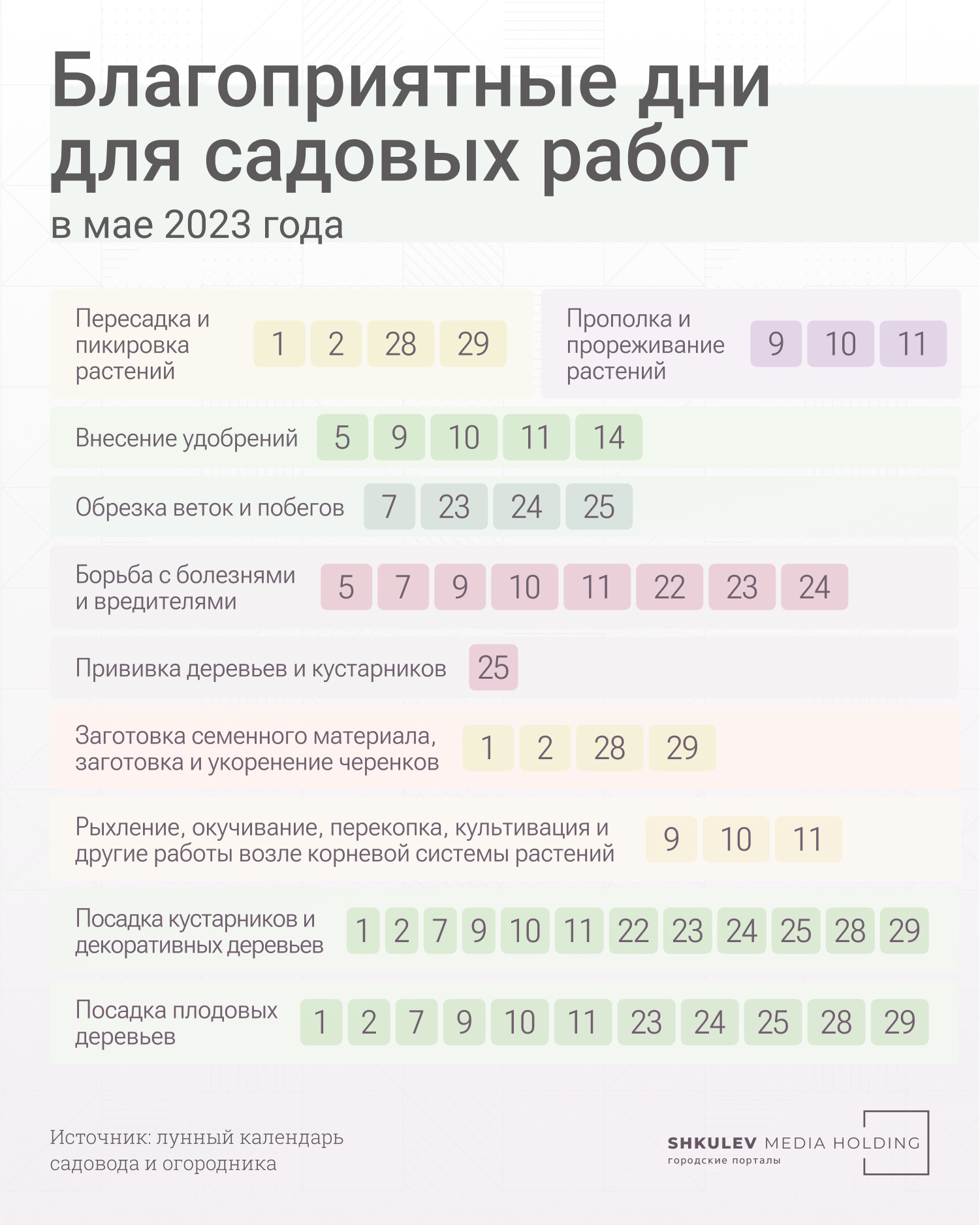 Подготовка почвы и правила посадки петрушки