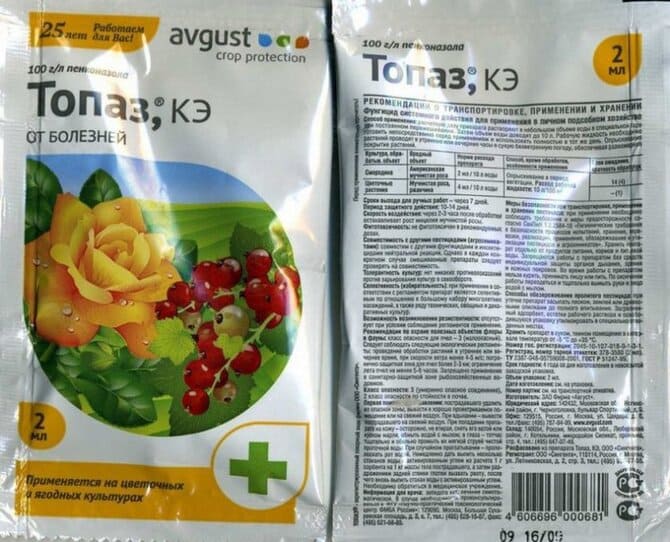 Как правильно применять фунгицид «Топаз»?