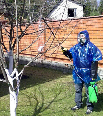 Необходимость опрыскивания