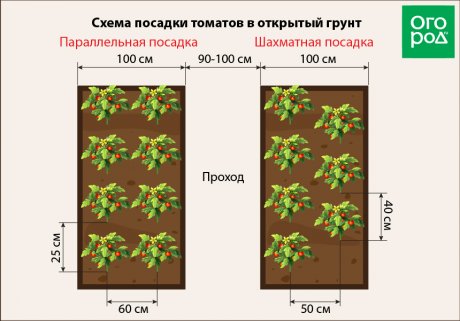 Подготовка семян
