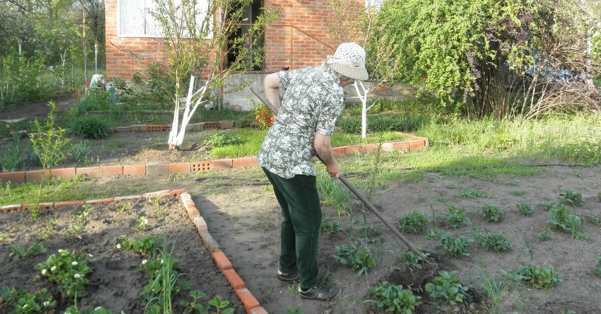Подготовка грунта и посадка овощных культур