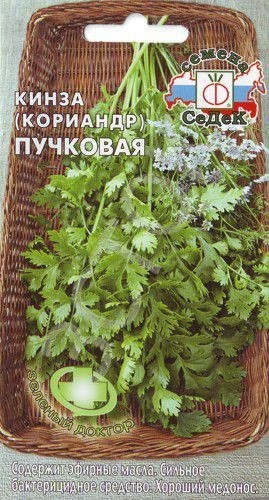 Лечебные свойства кориандра: миф или реальность?