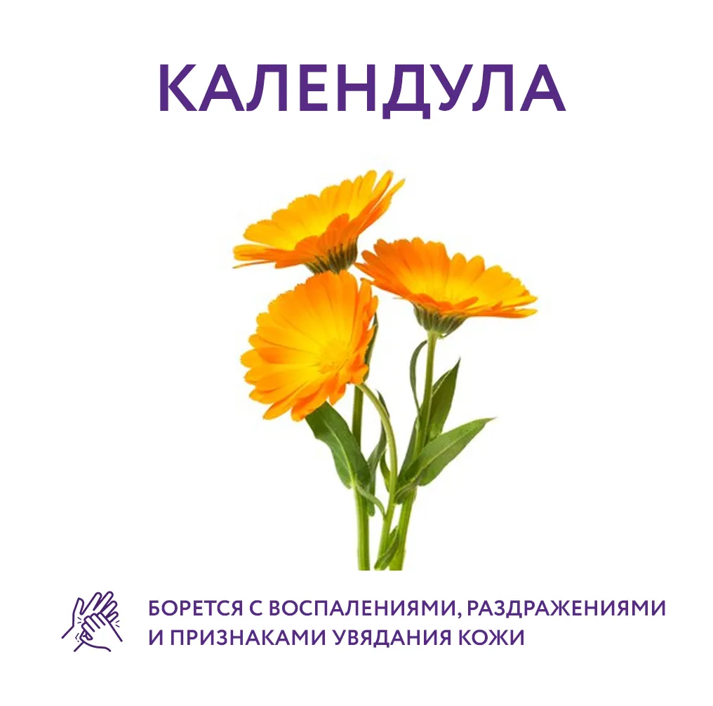 Преимущества и применение календулы в косметологии