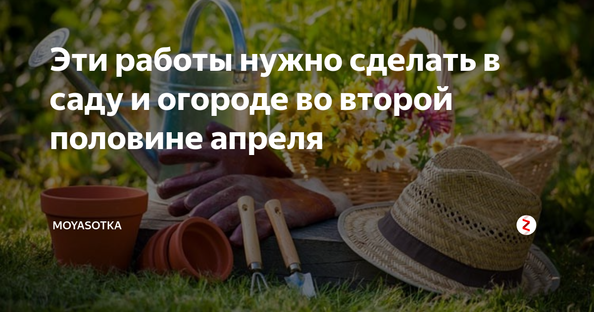Подкормка и обработка плодовых деревьев и кустарников