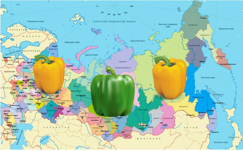 Важность выбора правильной фазы луны