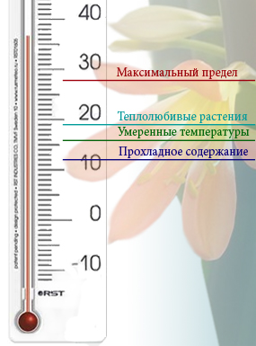 Высокая температура - проблема для комнатных растений