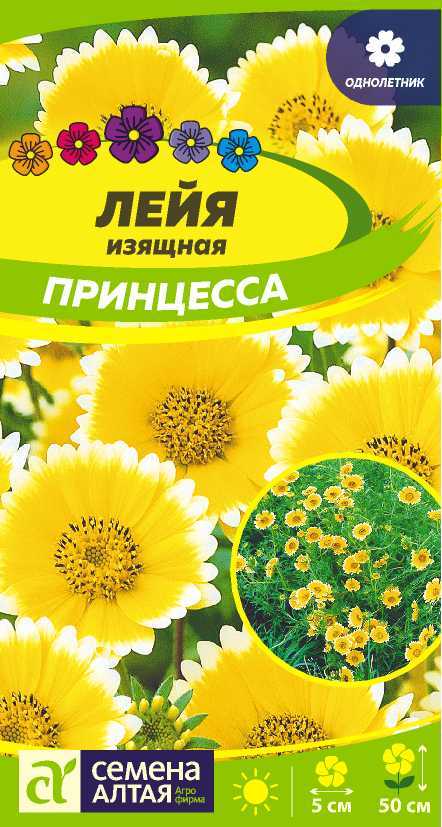 Грация и элегантность
