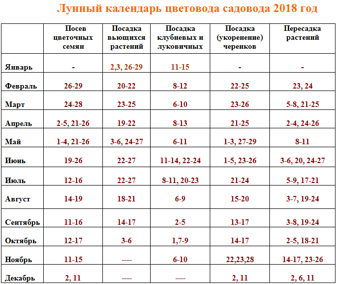 Уход за растениями