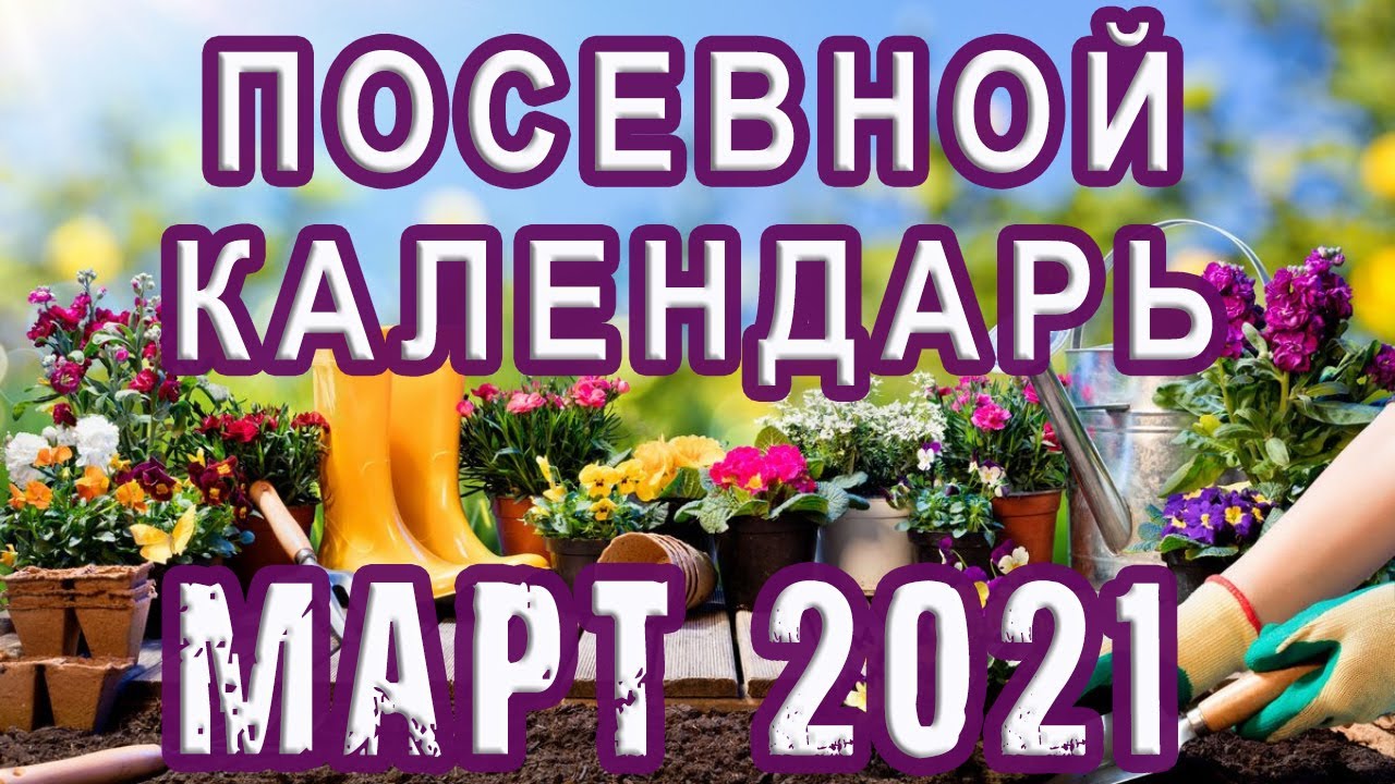 Лунный посевной календарь